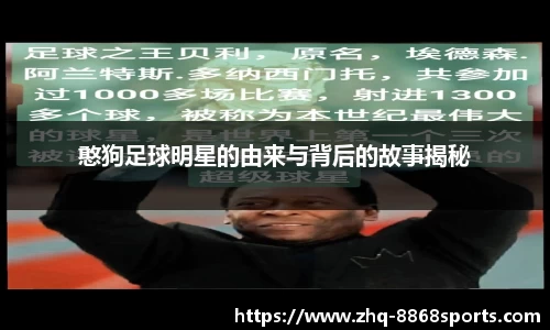 憨狗足球明星的由来与背后的故事揭秘